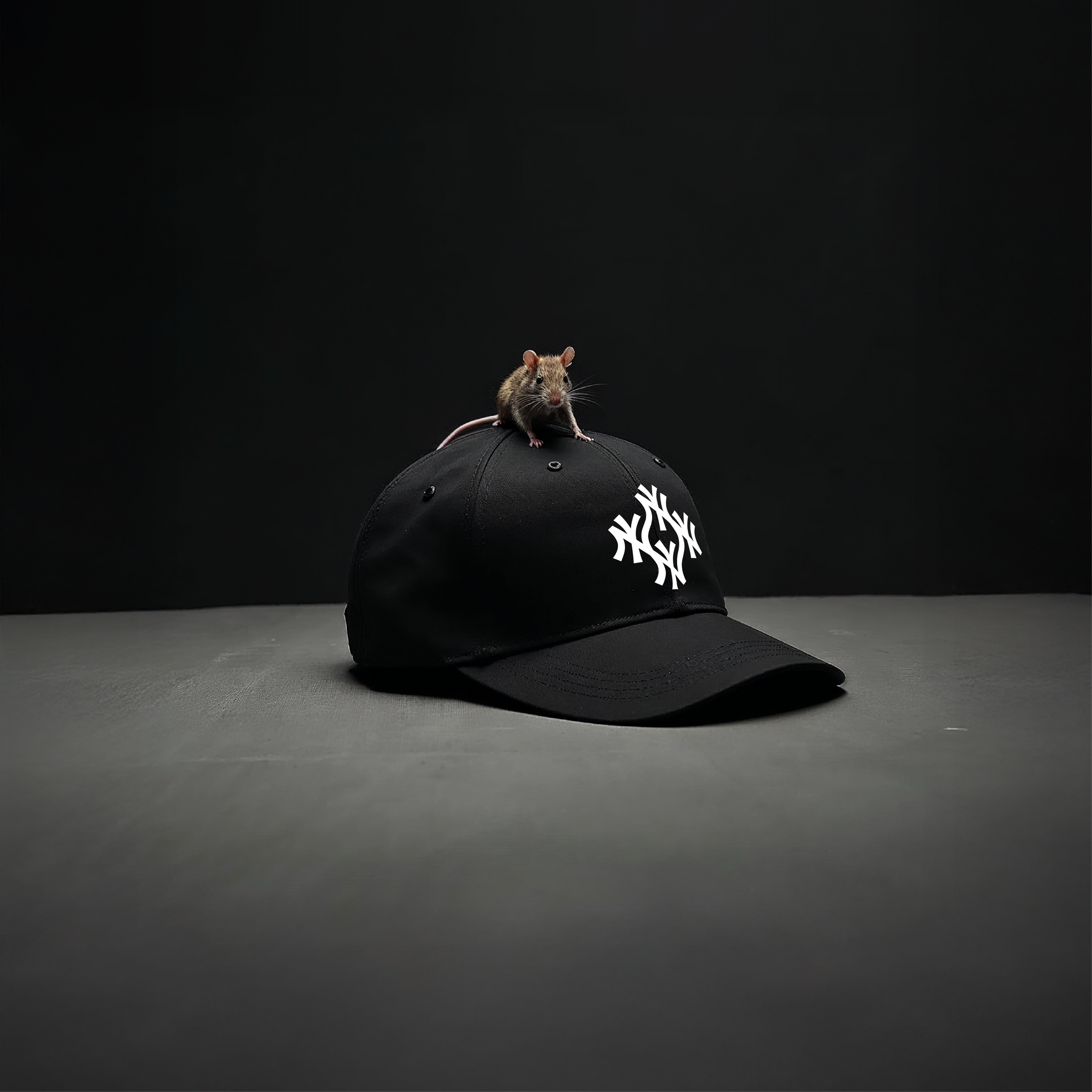 SoNY monogram cap — black